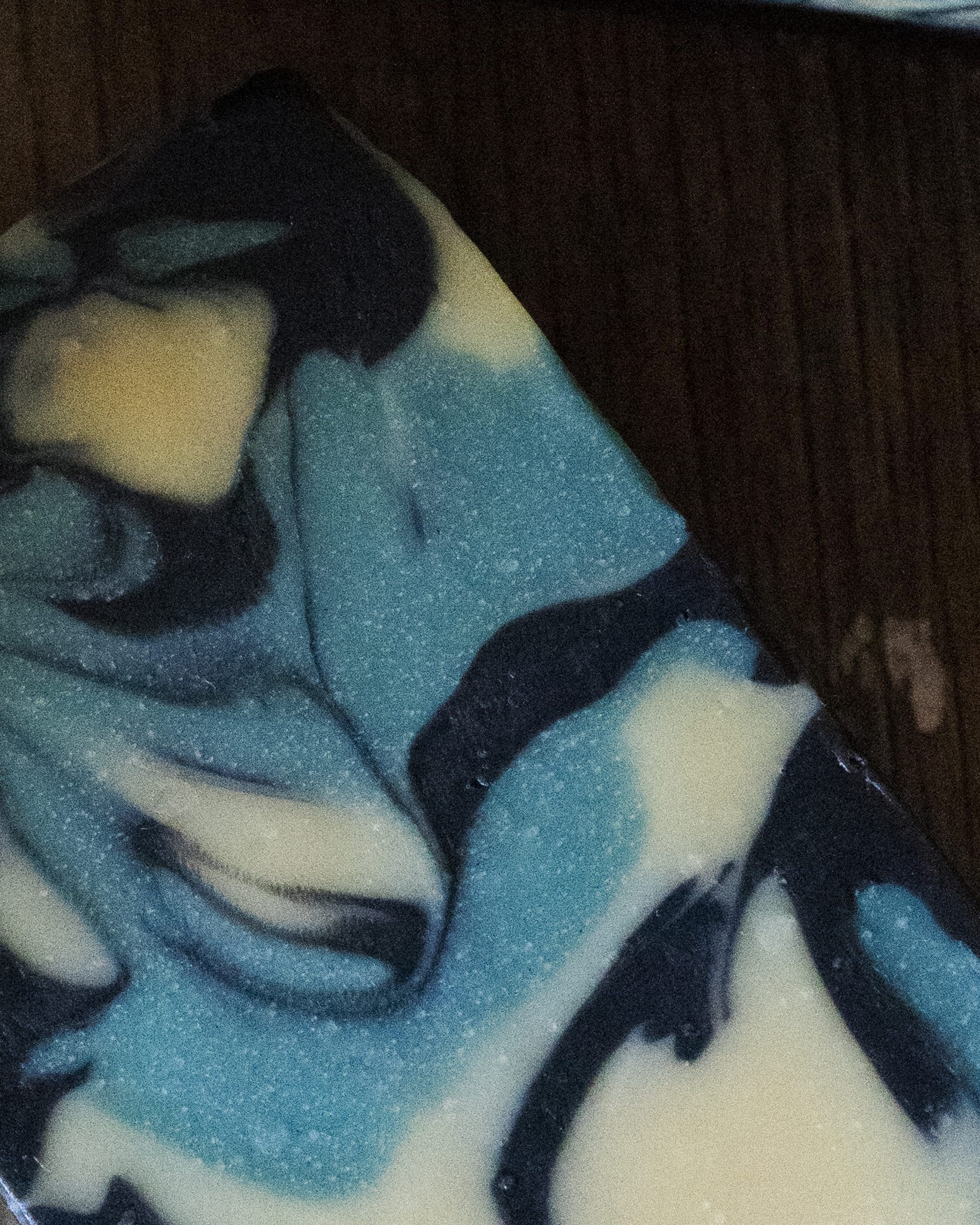 LE GRAND BLEU – Image 5